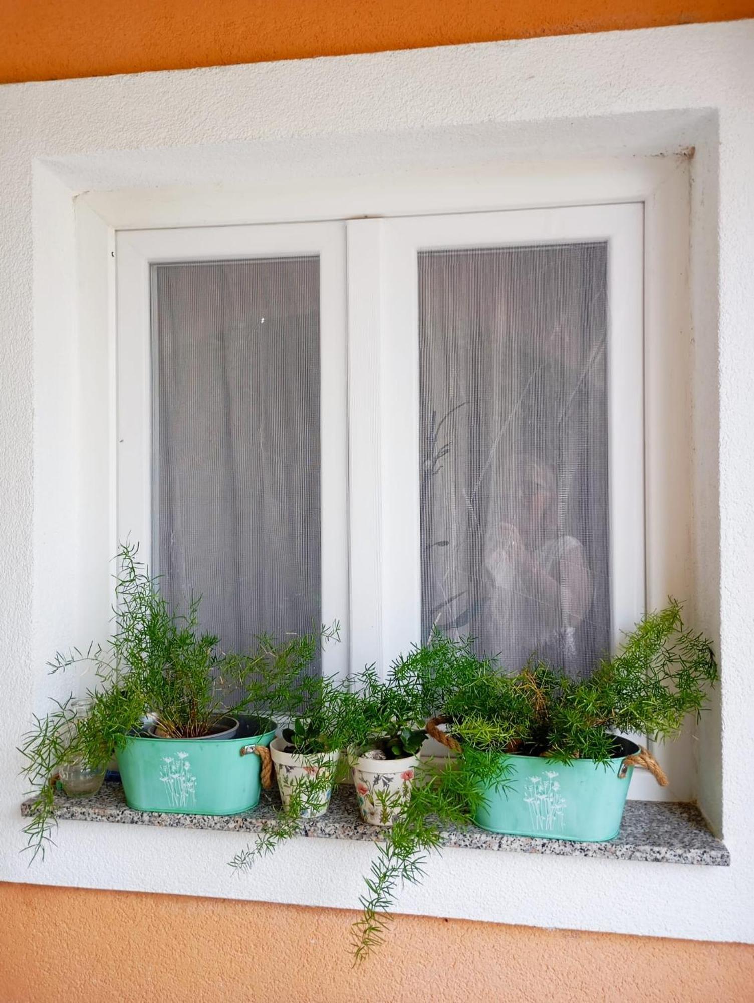 Apartmani Joja บีโอกราดนาโมรู ภายนอก รูปภาพ